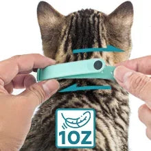 Interactive Cat Laser Collar: The Purrfect Playtime Companion