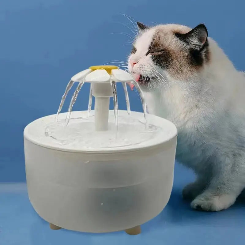 USB Pet Water Fountain