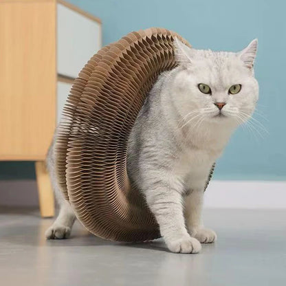 Unleash Your Cat's Inner Explorer