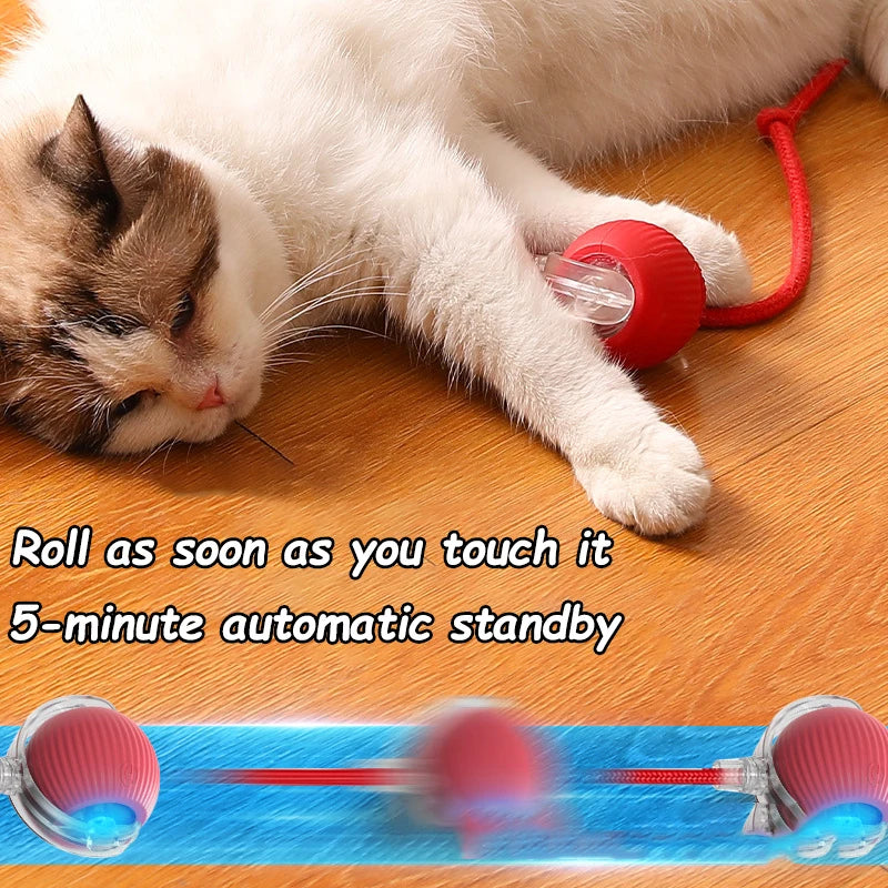 SmartTail Ball Cat