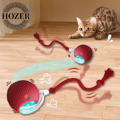 SmartTail Ball Cat