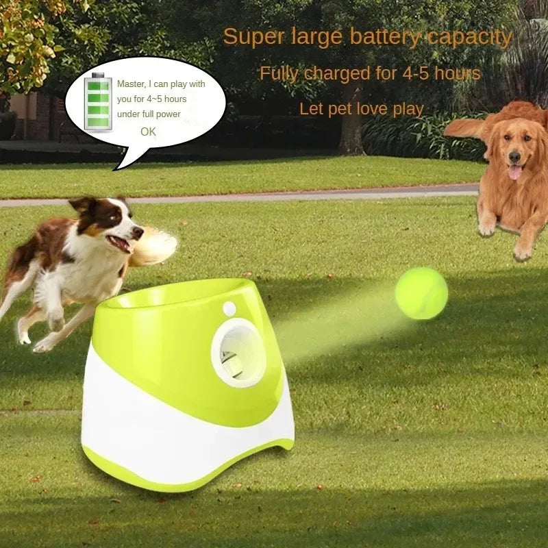 Lanzador automático para perros