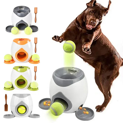 Fetch &amp; Feast: lanzador automático de pelotas de tenis para perros