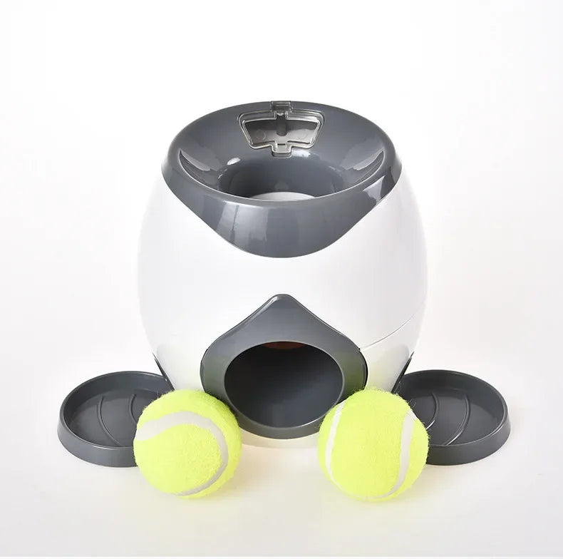 Fetch &amp; Feast: lanzador automático de pelotas de tenis para perros